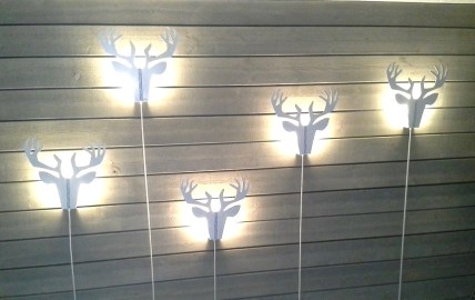 11214255_855739077841443_8897186944684198028_n 2